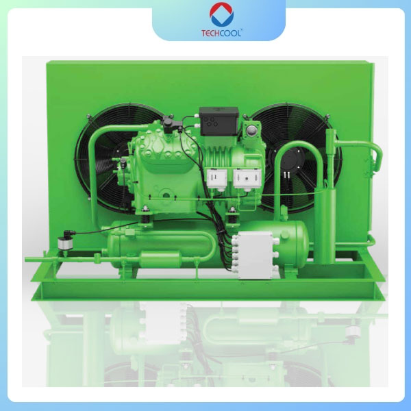 CỤM MÁY NÉN GIẢI NHIỆT GIÓ BITZER